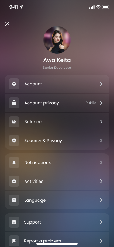 Profile settings menu with account, privacy and notification options