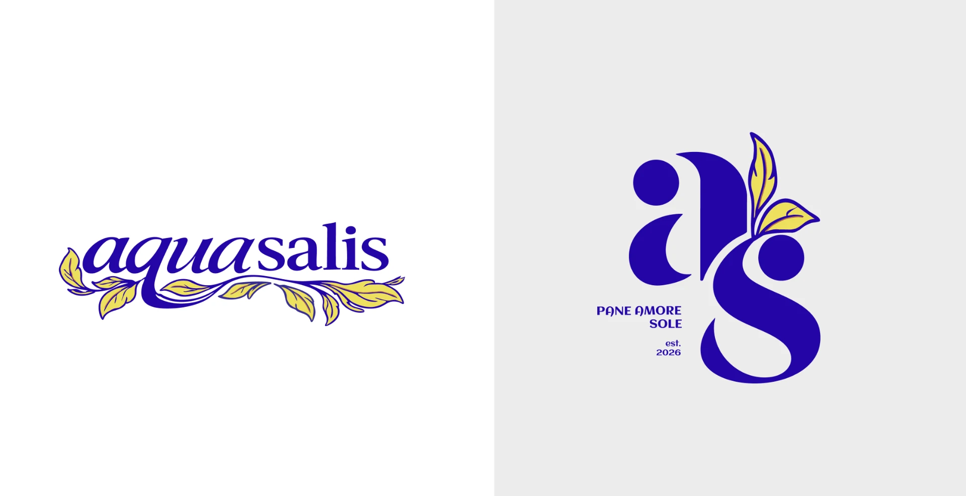 Aquasalis wordmark and monogram logo variations